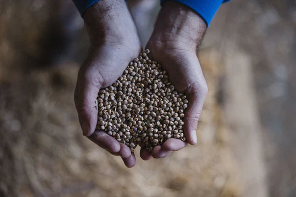 Because Every Animal Deserves to Thrive: Drought Feeding Solutions from Bedwells