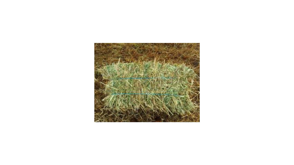 OATEN HAY SMALL SQUARES