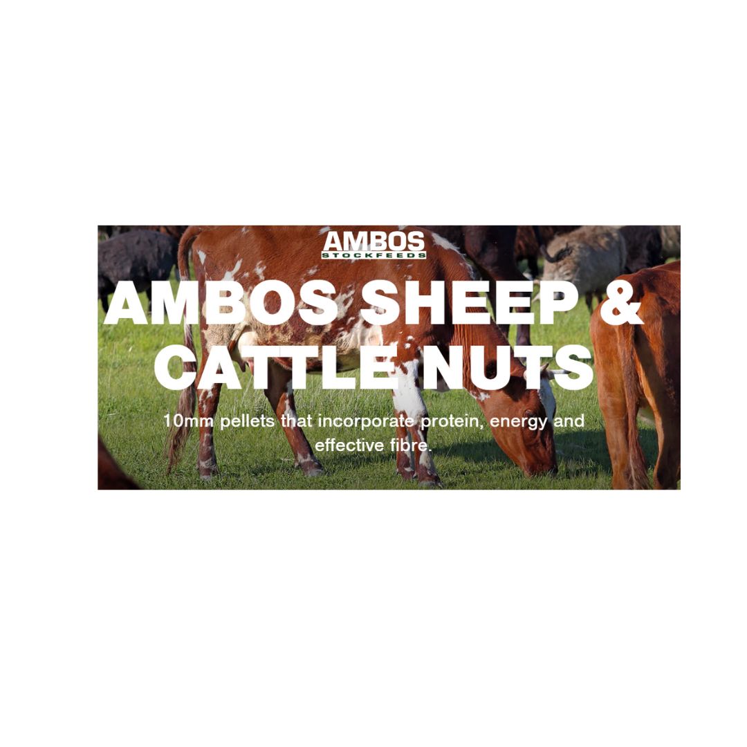 AMBOS SHEEP & CATTLE NUTS 20KG