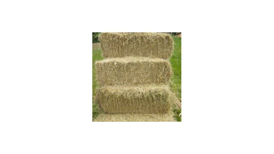 MEADOW HAY SMALL SQUARES