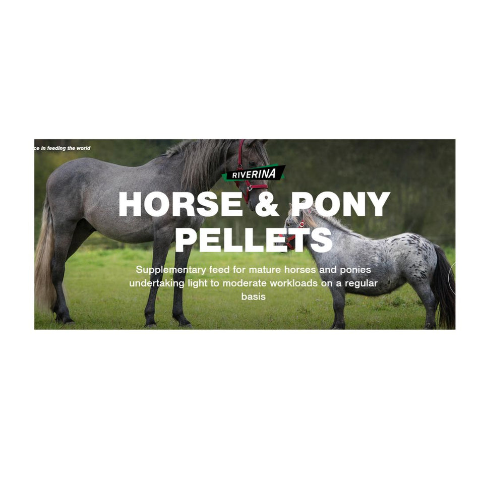 RIVERINA HORSE & PONY PELLETS 20KG