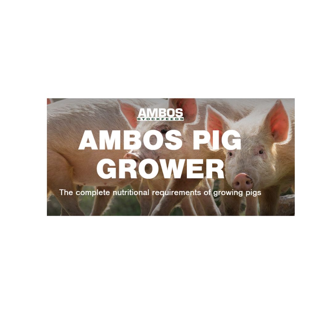 AMBOS PIG GROWER PELLETS 20KG