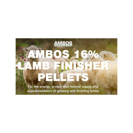 AMBOS 16% LAMB FINISHER PELLETS 20KG 