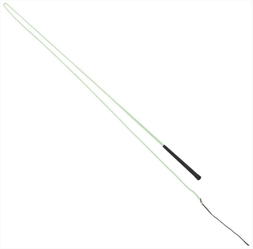 NEON LUNGE WHIP [CL:GREEN]