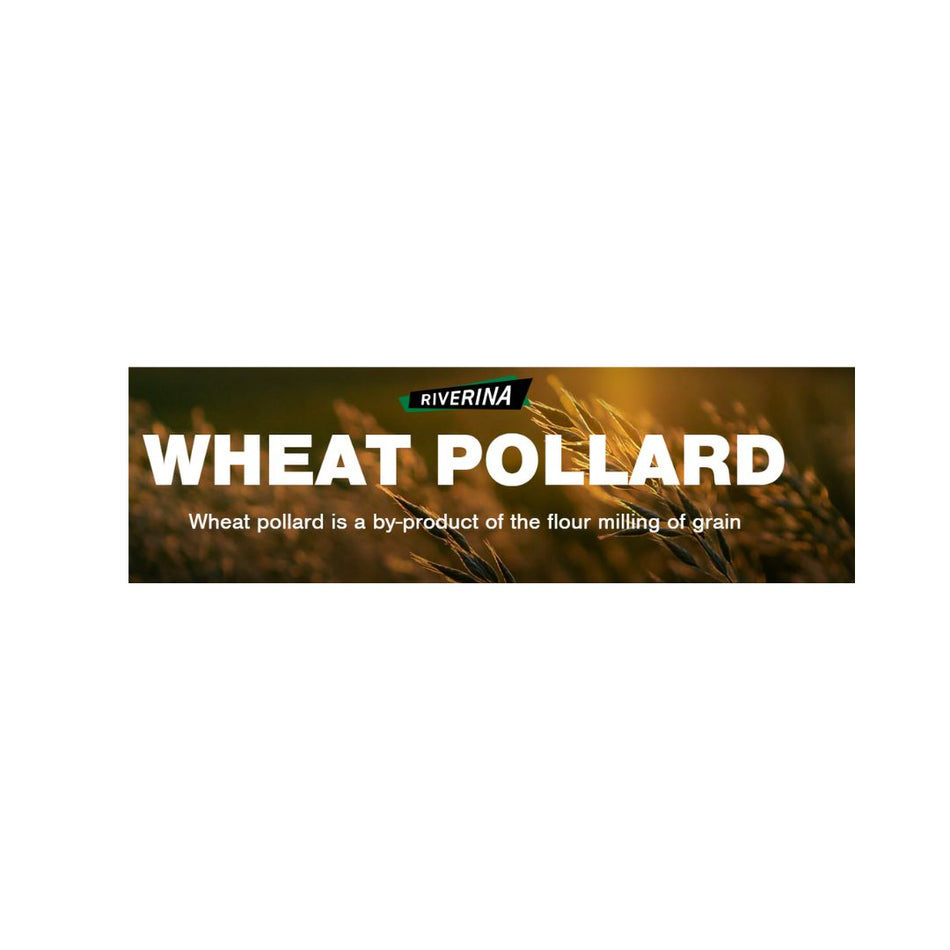 RIVERINA WHEAT POLLARD 25KG