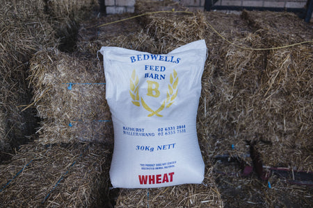 BEDWELLS WHEAT 30KG