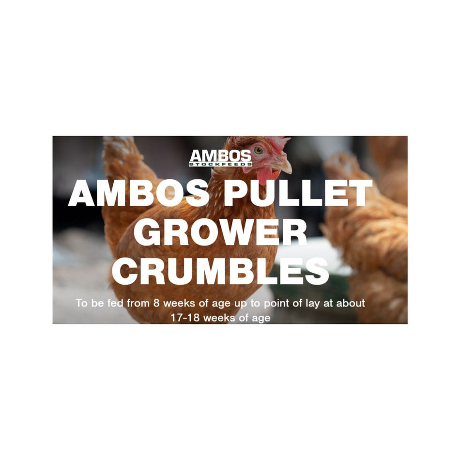 RIVERINA PULLET GROWER CRUMBLES 20KG