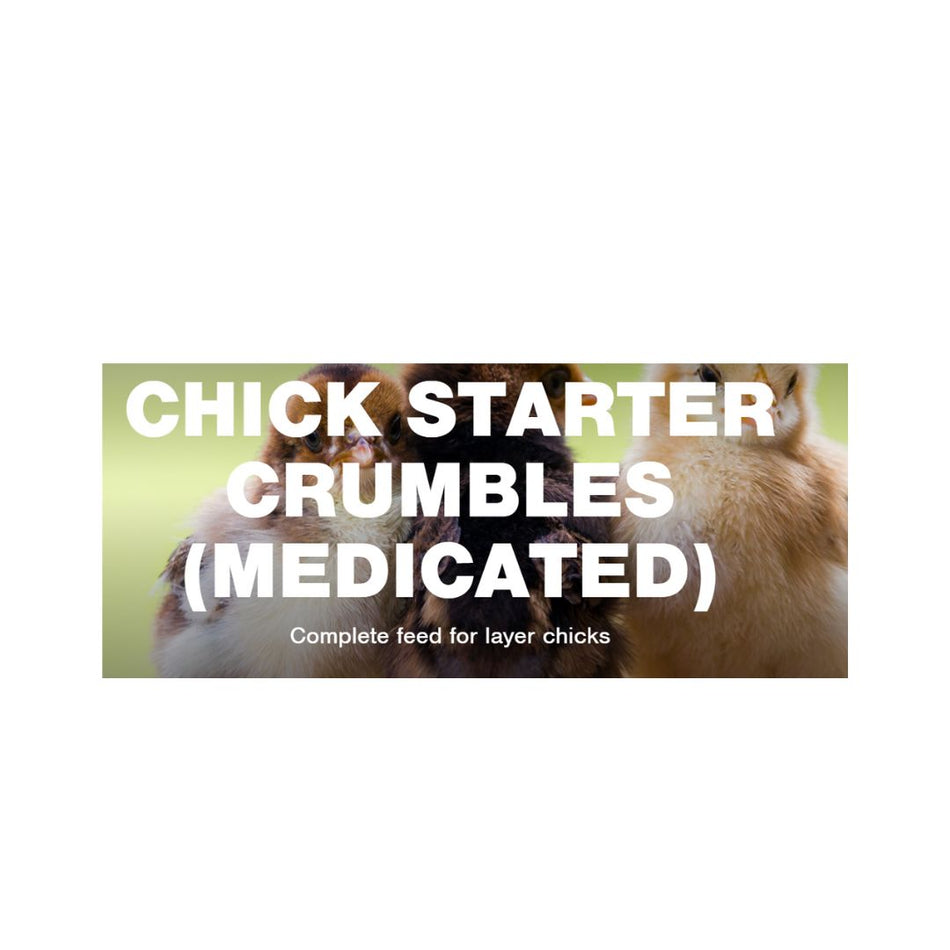 AMBOS CHICK STARTER CRUMBLES 20KG