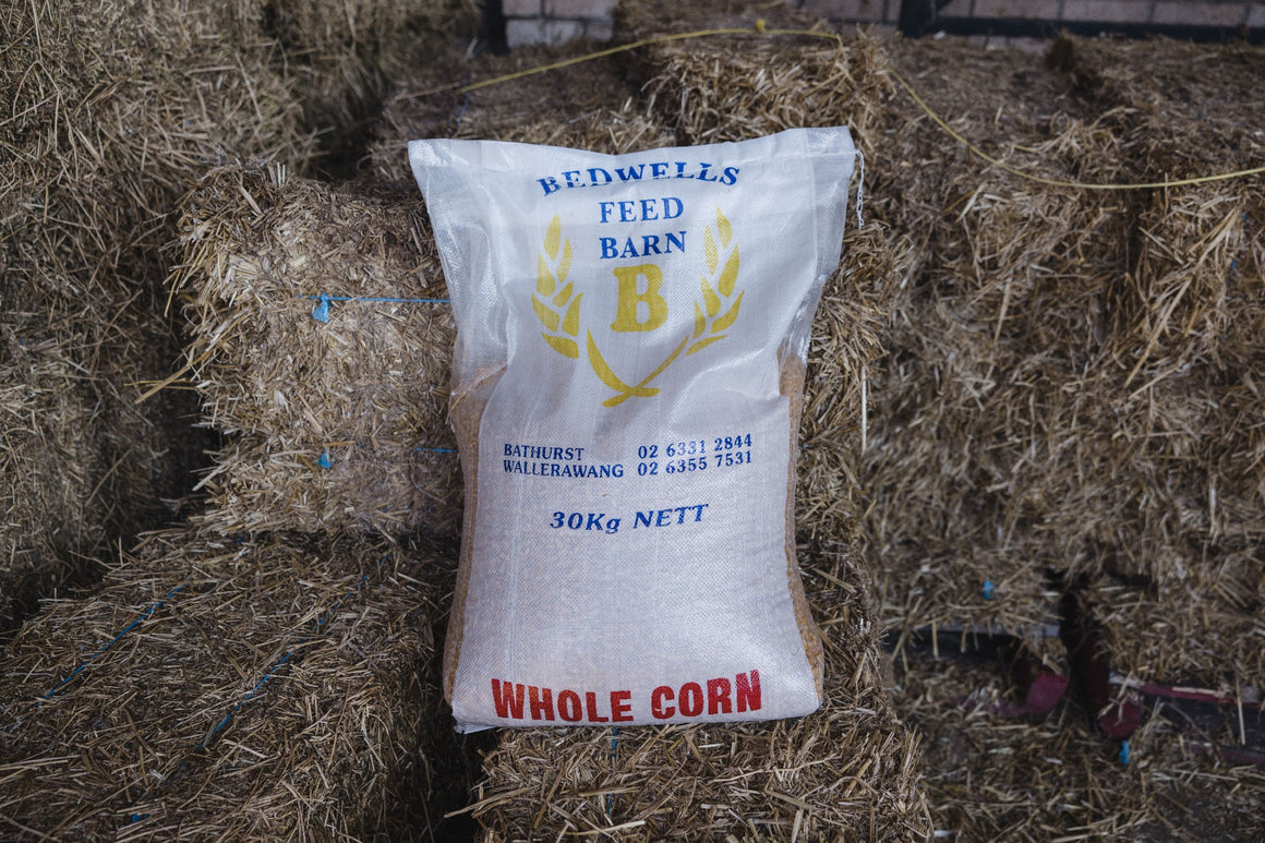 BEDWELLS CORN 30KG