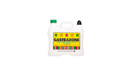 GASTRAZONE [SZ:1.25 LITRES]