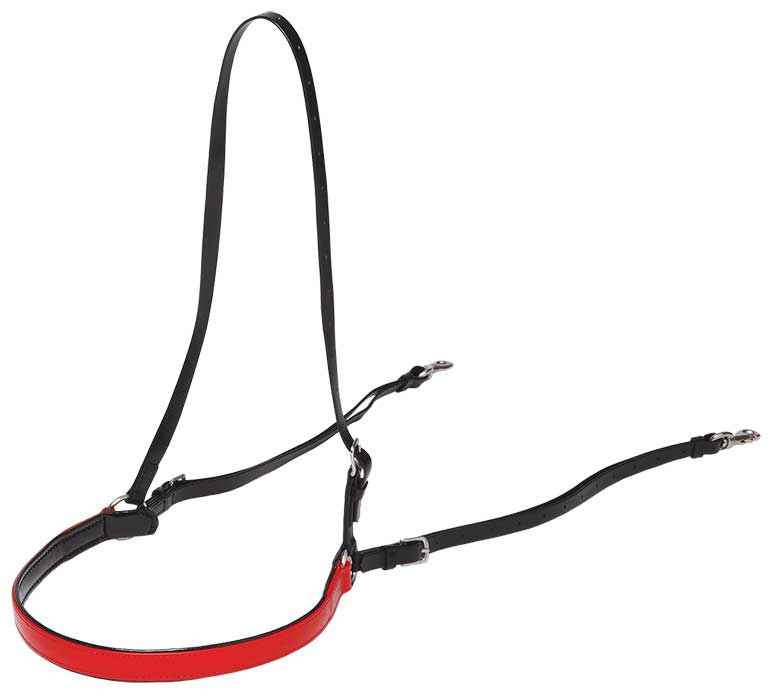 PADDED FRENCH BREASTPLATE [CL:BLACK / RED]