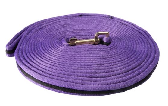 SOFT TUBULAR WEB LUNGE LEAD [CL:PURPLE]