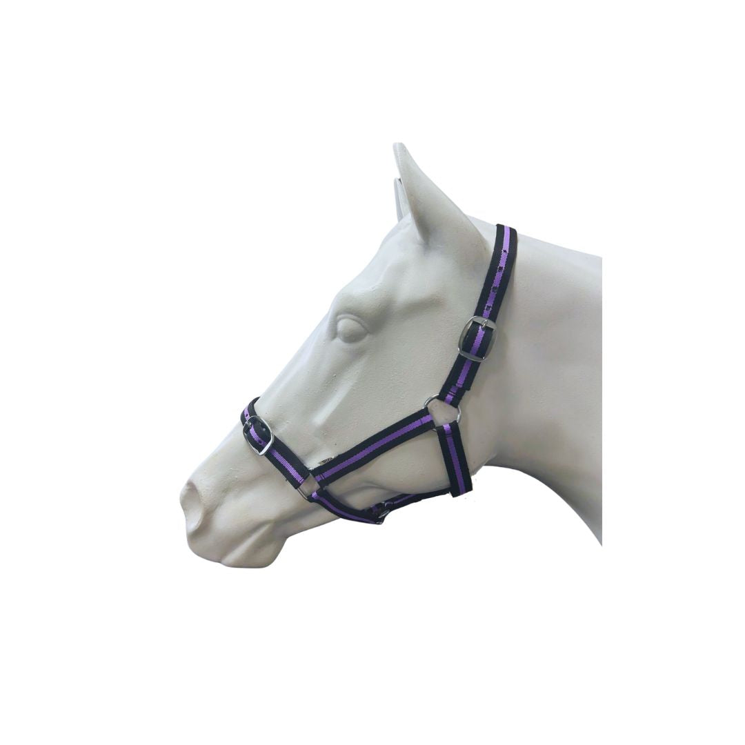 EUREKA ESSENTIAL HALTER [SZ:COB CL:BLK/LAV]