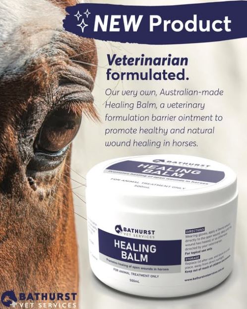 BATHURST VET SERVICES HEALING BALM 500ML