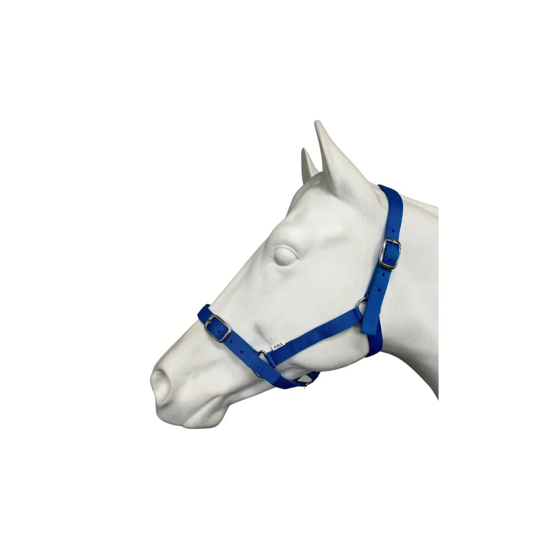 EUREKA ESSENTIAL HALTER [SZ:COB CL:ROYAL BLUE]