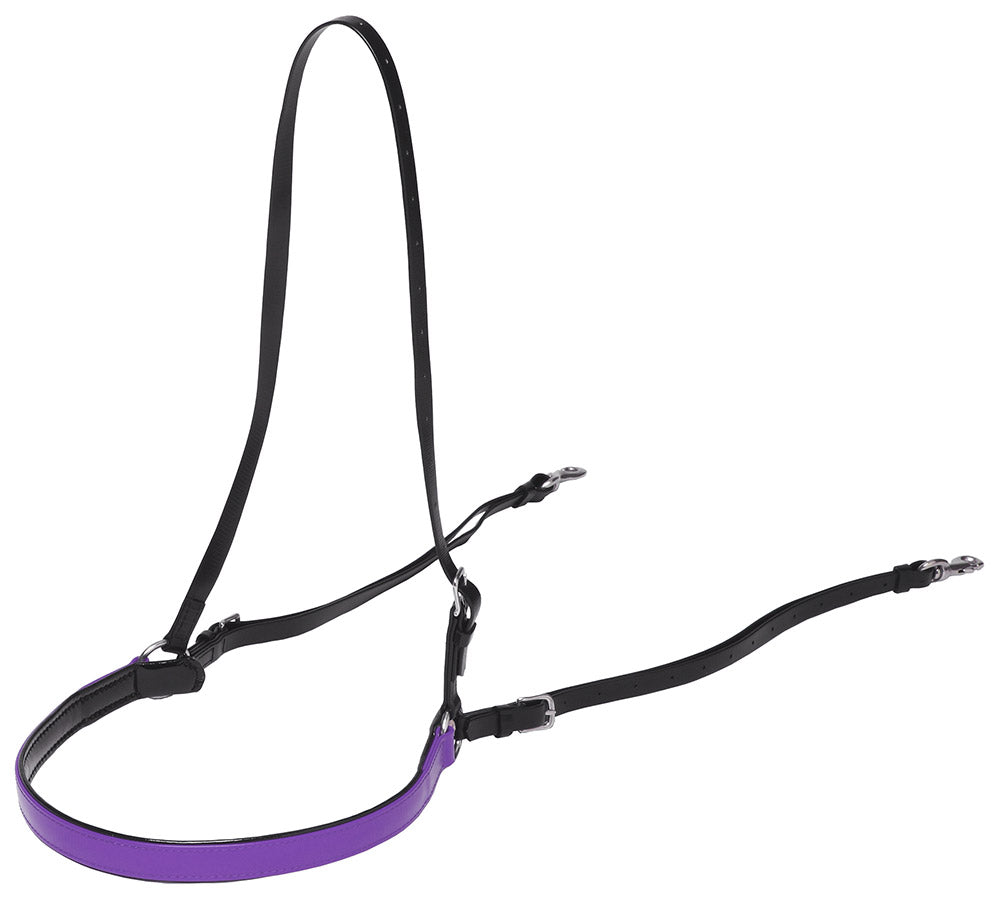 PADDED FRENCH BREASTPLATE [CL:BLACK / PURPLE]