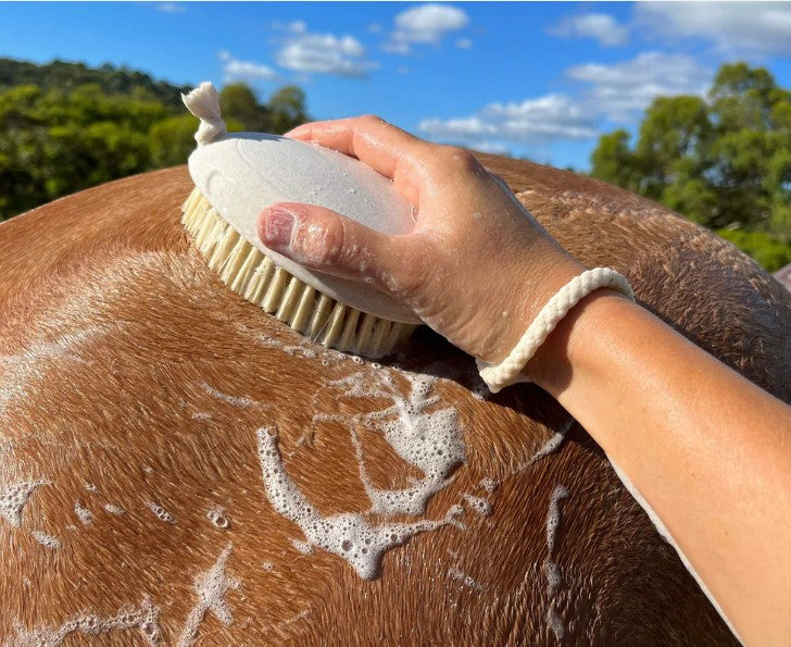 HAIRY PONY WASH BAY BRUSH