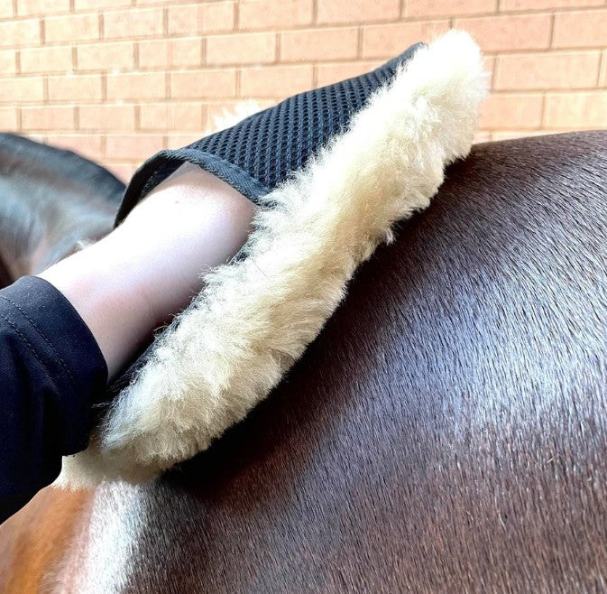HAIRY PONY MERINO WOOL HORSE POLISHING MITT
