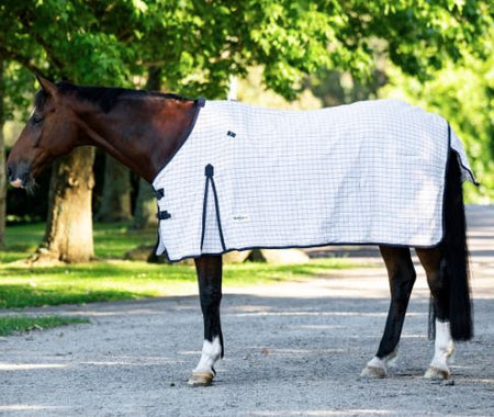 EUREKA DELUXE COTTON RUG [SZ:6'3"]