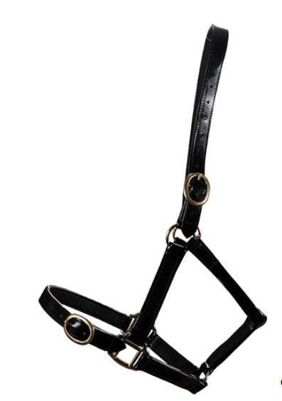 BRASS BUCKLE HALTER [SZ:COB CL:BLACK]