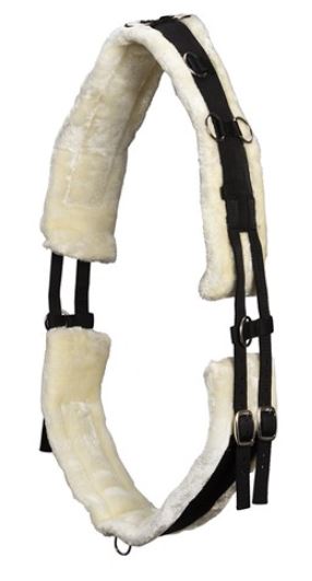 LUNGE TRAINING SURCINGLE [SZ:PONY]