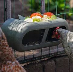 BAINBRIDGE CHICKEN FEEDER W/ ATTACHMENT