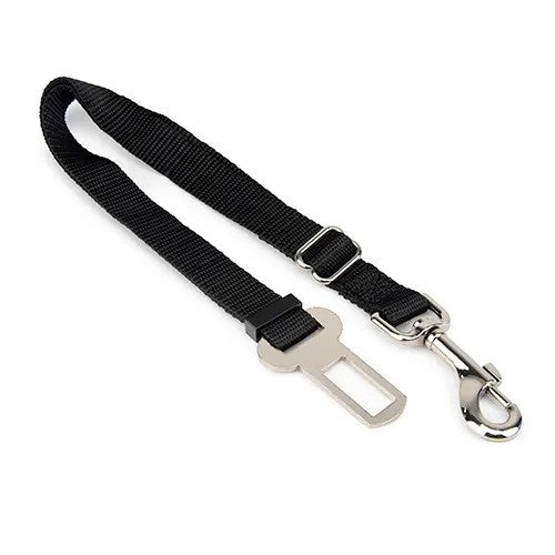 BAINBRIDGE CAR SAFETY LEAD [SZ:XS-SM]
