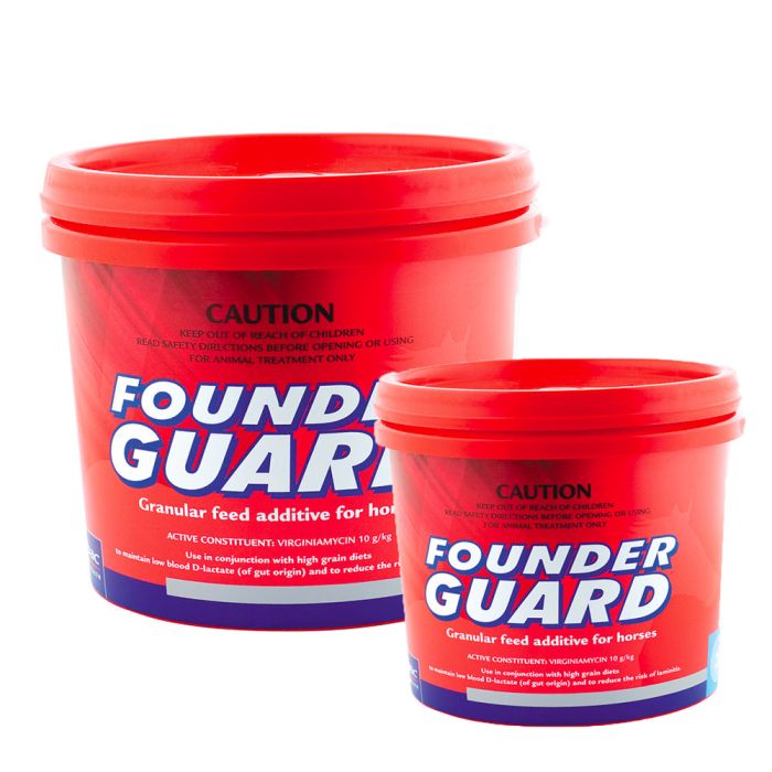 FOUNDERGUARD [SZ:1KG]