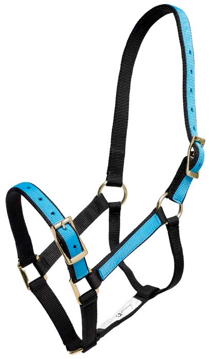 ZILCO OVERLAY HALTER [SZ:PONY CL:BLUE/BLACK]