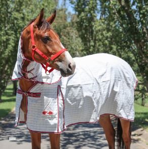 ECONOSTOP COMBO RUG [SZ:6'3"]