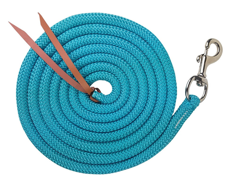 12FT TRAINING LEAD - TRIGGER SNAP [CL:TURQUOISE]