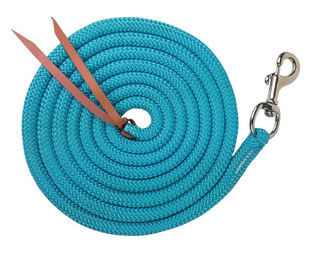 12FT TRAINING LEAD - TRIGGER SNAP [CL:TURQUOISE]