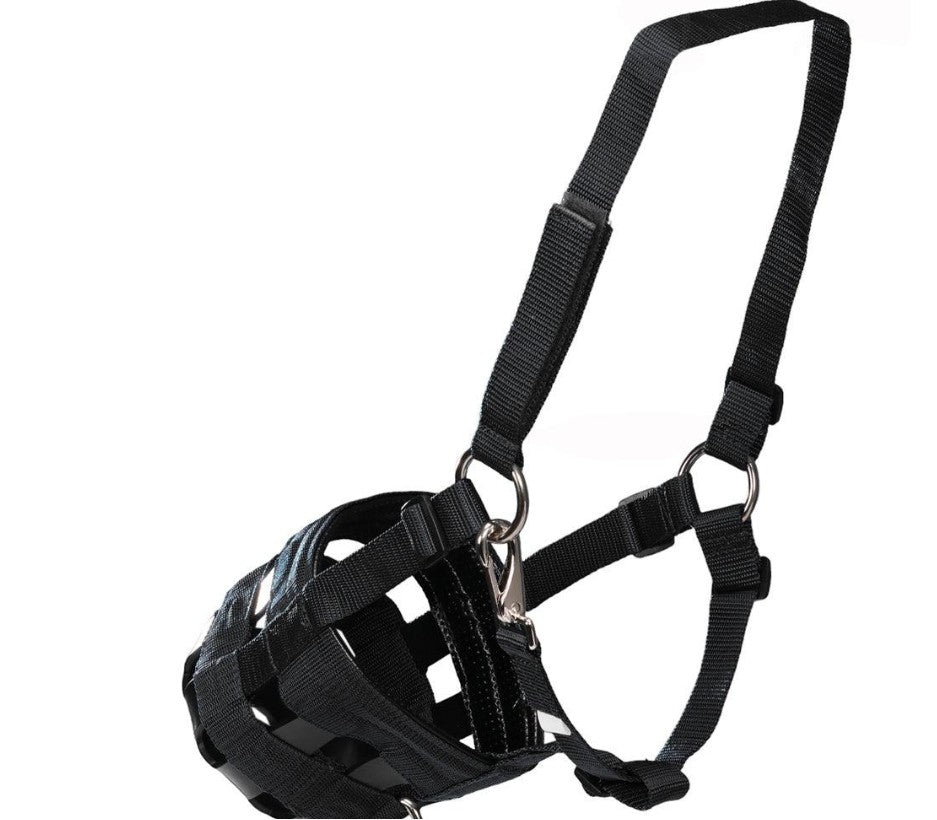 GRAZING MUZZLE W/ RUBBER BASE [SZ:PONY CL:HOT PINK]