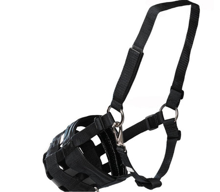 GRAZING MUZZLE W/ RUBBER BASE [SZ:PONY CL:HOT PINK]