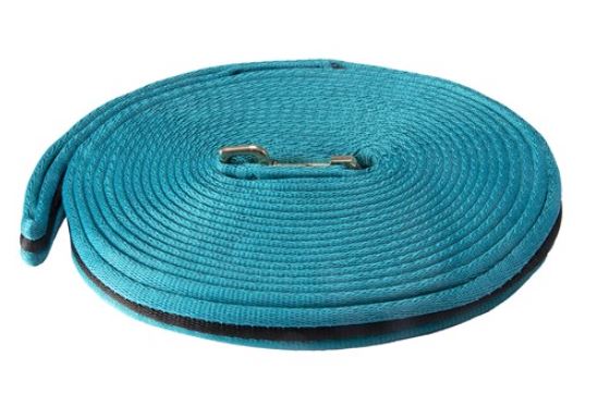SOFT TUBULAR WEB LUNGE LEAD [CL:TURQUOISE]