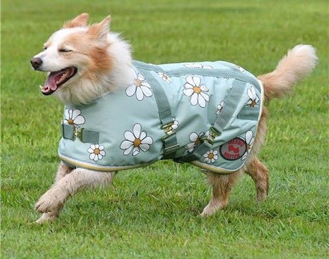 SUPREME DOG COAT OLIVE DAISIES [SZ:41CM]