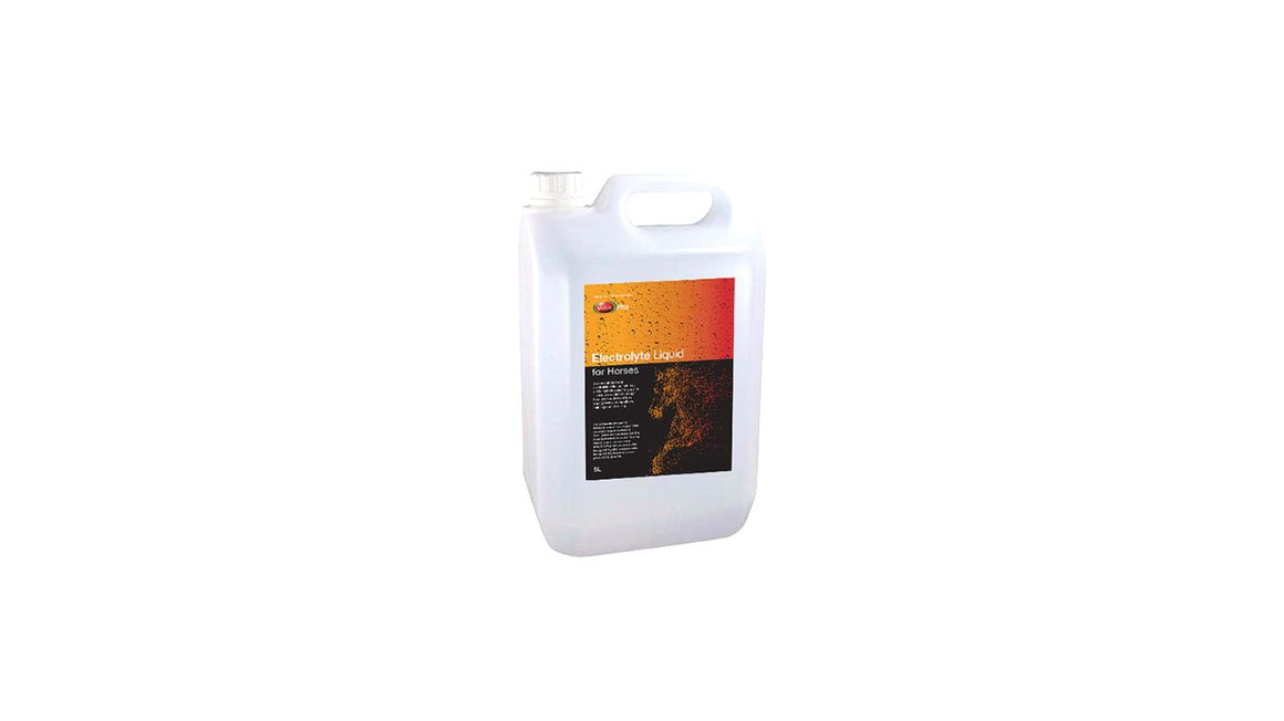 VALUE PLUS ELECTROLYTE LIQUID FOR HORSES [SZ:5L]