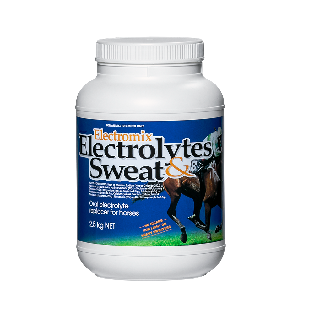 ELECTROLYTES AND SWEAT [SZ:2.5 KG]