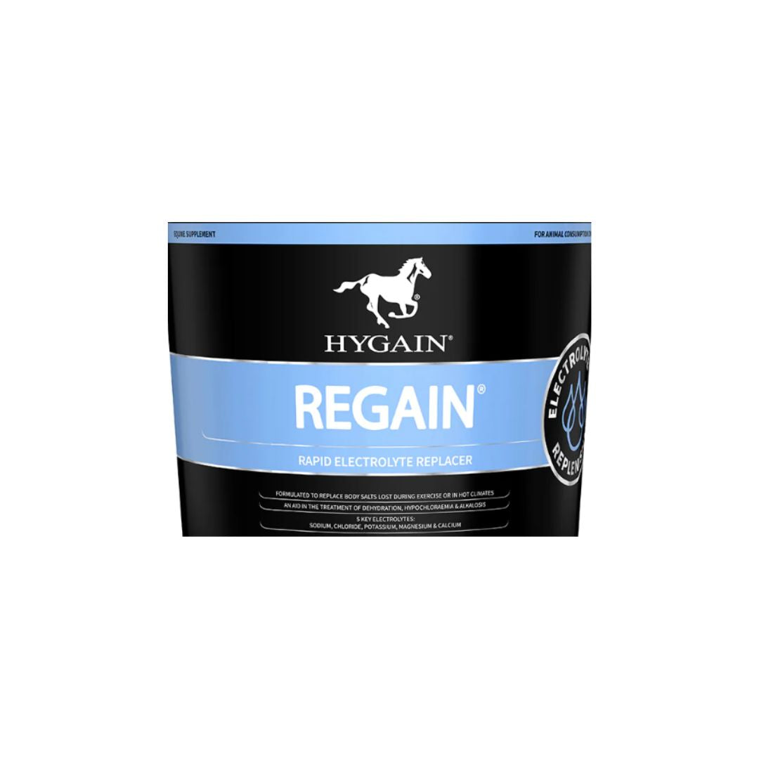 HYGAIN REGAIN [SZ:20KG]