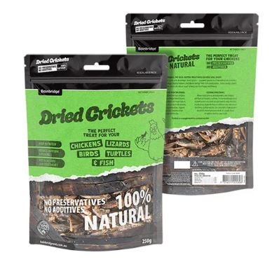 BAINBRIDGE DRIED CRICKETS [SZ:250G]