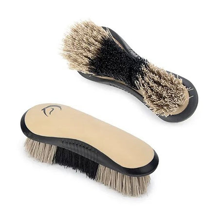 BAINBRIDGE STIFF DANDY BRUSH [CL:BLACK/BEIGE]