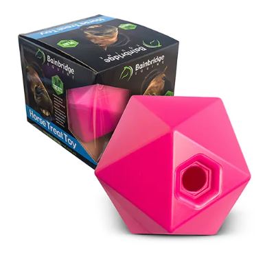 BAINBRIDGE HORSE TREAT BALL [CL:PINK]