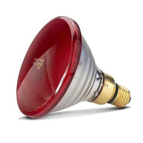 BAINBRIDGE INFRARED HEAT LAMP BULB RED [SZ:50W]