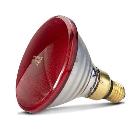 BAINBRIDGE INFRARED HEAT LAMP BULB RED [SZ:100W]