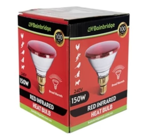 BAINBRIDGE INFRARED HEAT LAMP BULB RED [SZ:150W]