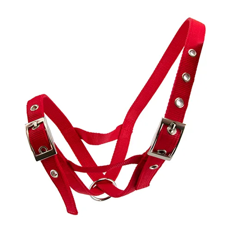 Bull Ialter BAINBRIDGE WEBBED CATTLE HALTER - COW