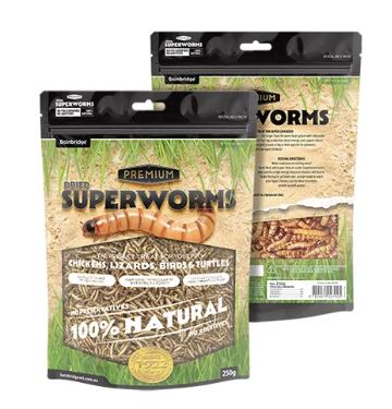 BAINBRIDGE SUPERWORMS [SZ:250G]